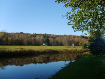 Yard in West Falls from the pond side.jpg