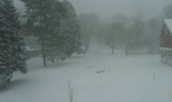 Winter in West Falls.jpg