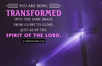 Daily Devotional - September 11, 2019