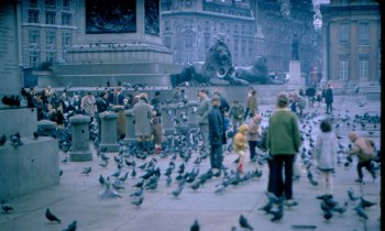 London Trafalger Square (2).jpg