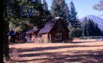 Older homestead cabin on Buds property (2).jpg