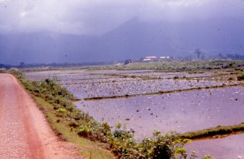 VN Danang to Hue Road- Rice patties aplenty.jpg