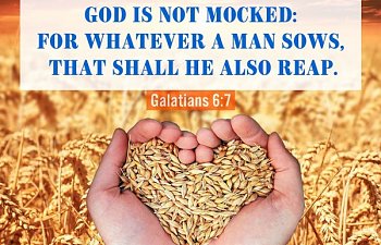 Daily Devotional - October 28, 2019