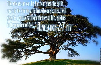 Daily Devotional - January 6, 2020