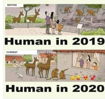 Human in 2020.jpg