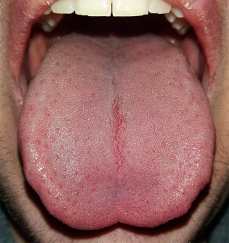 زبان_tongue.jpg