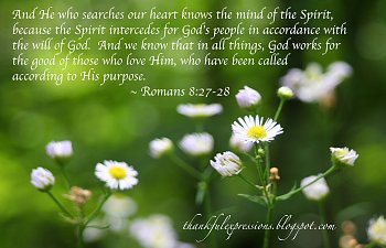 Daily Devotional - April 19, 2020