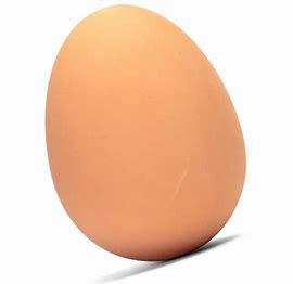 egg.jpg