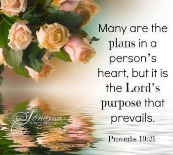 Proverbs19-21_350x313.jpg