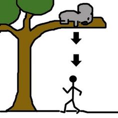 drop-bear-.jpg