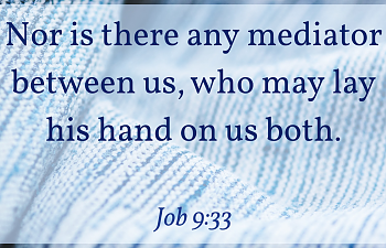 Daily Devotional - July 20, 2020