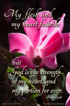 Strength-Of-My-Heart-by-Bill-Heller.jpg