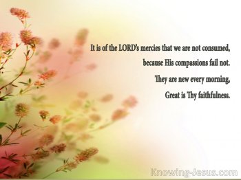 A Fresh Start devotional Lamentations 3-23.jpg