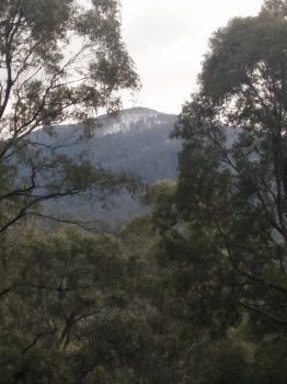 IMG20200822131736.jpg