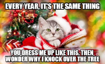 Christmas-Cat-Meme-1-1.png
