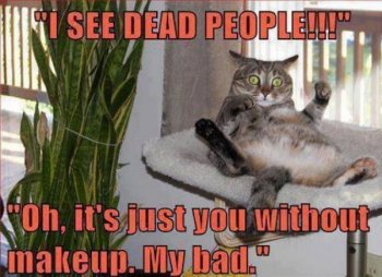 funny-pictures-humor-i-see-dead-people-cat.jpg