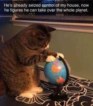 cat-hes-already-seized-control-my-house-now-he-figures-he-can-take-over-whole-planet.jpeg