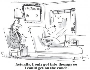 dogtherapy.jpg