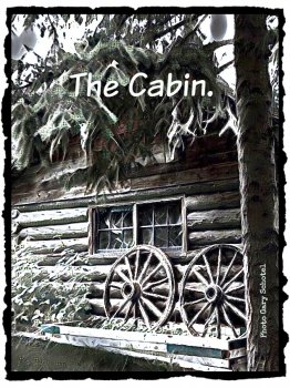 Log Cabin (1).jpg