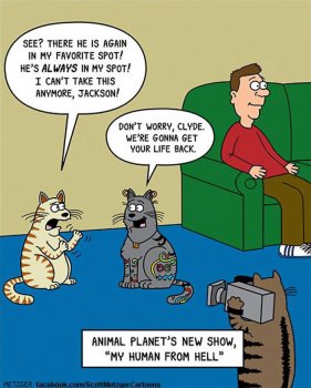 5b1156bdb968f-funny-cat-comics-scott-metzger-cartoons-23-5b0eb1a4cfb03__700.jpg