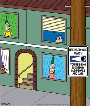 neighborhood-watch-being-judged-by-old-people-and-cats-metzger-facebookcomscottmetzgercartoons.jpeg