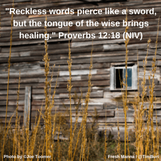 cba1e-proverbs2b12-182bniv2bsword2c2bbut2bthe.png