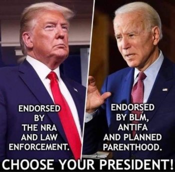 Trump Biden diff.jpg