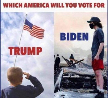 Trump Biden diff -1.jpg