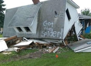 Got The Spider.jpg