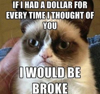 grumpy-cat-meme-12.jpg