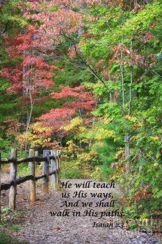 1-path-in-autumn-scripture-jill-lang.jpg