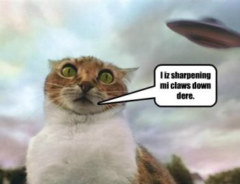aliens-only-ever-tried-their-probes-on-kittehs-once.jpeg