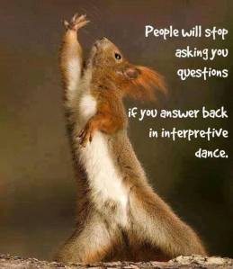 funny-squiril-dance.jpg