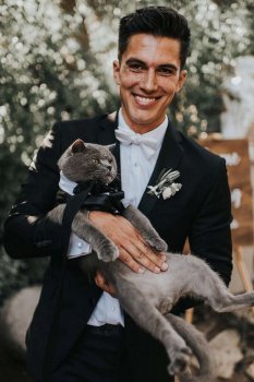 gma-cat-groomsman-3-ht-jcl-190814_hpEmbed_2x3_1600.jpg