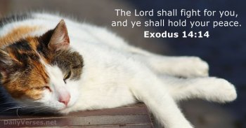 exodus-14-14.jpg