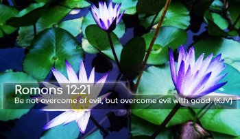 scripture-wallpaper-200908160017.jpg