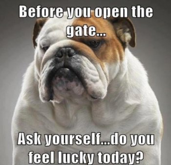 before-you-open-the-gate-bulldog-meme.jpg