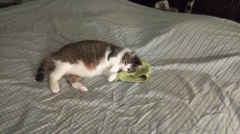 IMG_20180830_194807.jpg IMG_20180830_194807.jpg