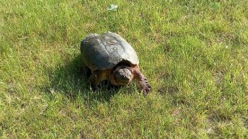 IMG_20180531_085600.jpg IMG_20180531_085600.jpg