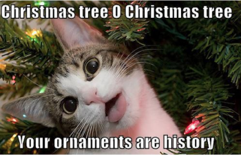 christmas-tree-o-christmas-tree-your-ornaments-are-history-funny-merry-memes.png