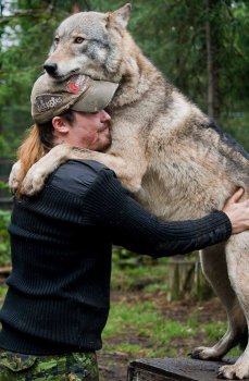Wolf Hug Male.jpg