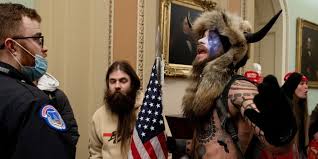 viking guy in capitol.jpg