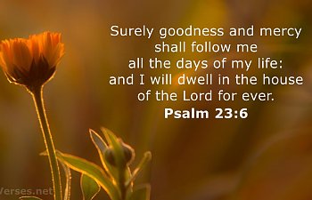 Scripture Of The Day – EXPECTING THE GOODNESS OF GOD