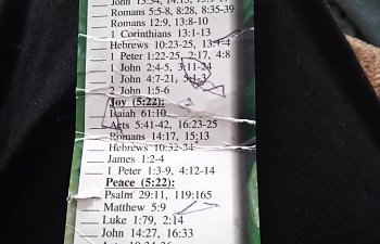 Spiritial Fruit Bible Study