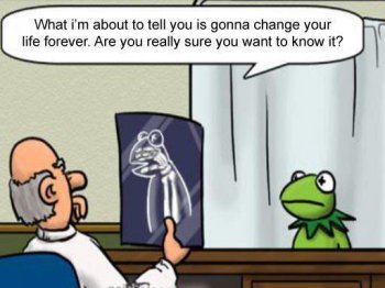 kermit-the-frog-funny-doctor-poster.jpg