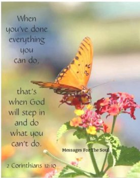 FB_IMG_1614232476536.jpg
