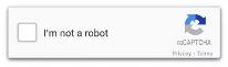 I'm not a robot.jpg