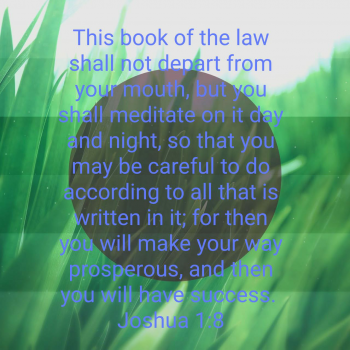 1615133342156.png