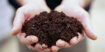 soil-in-hands-francesca-yorke-1524578402.jpg soil-in-hands-francesca-yorke-1524578402.jpg