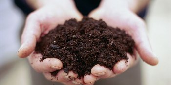 soil-in-hands-francesca-yorke-1524578402.jpg